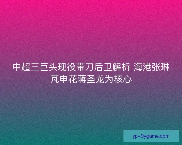 中超三巨头现役带刀后卫解析 海港张琳芃申花蒋圣龙为核心